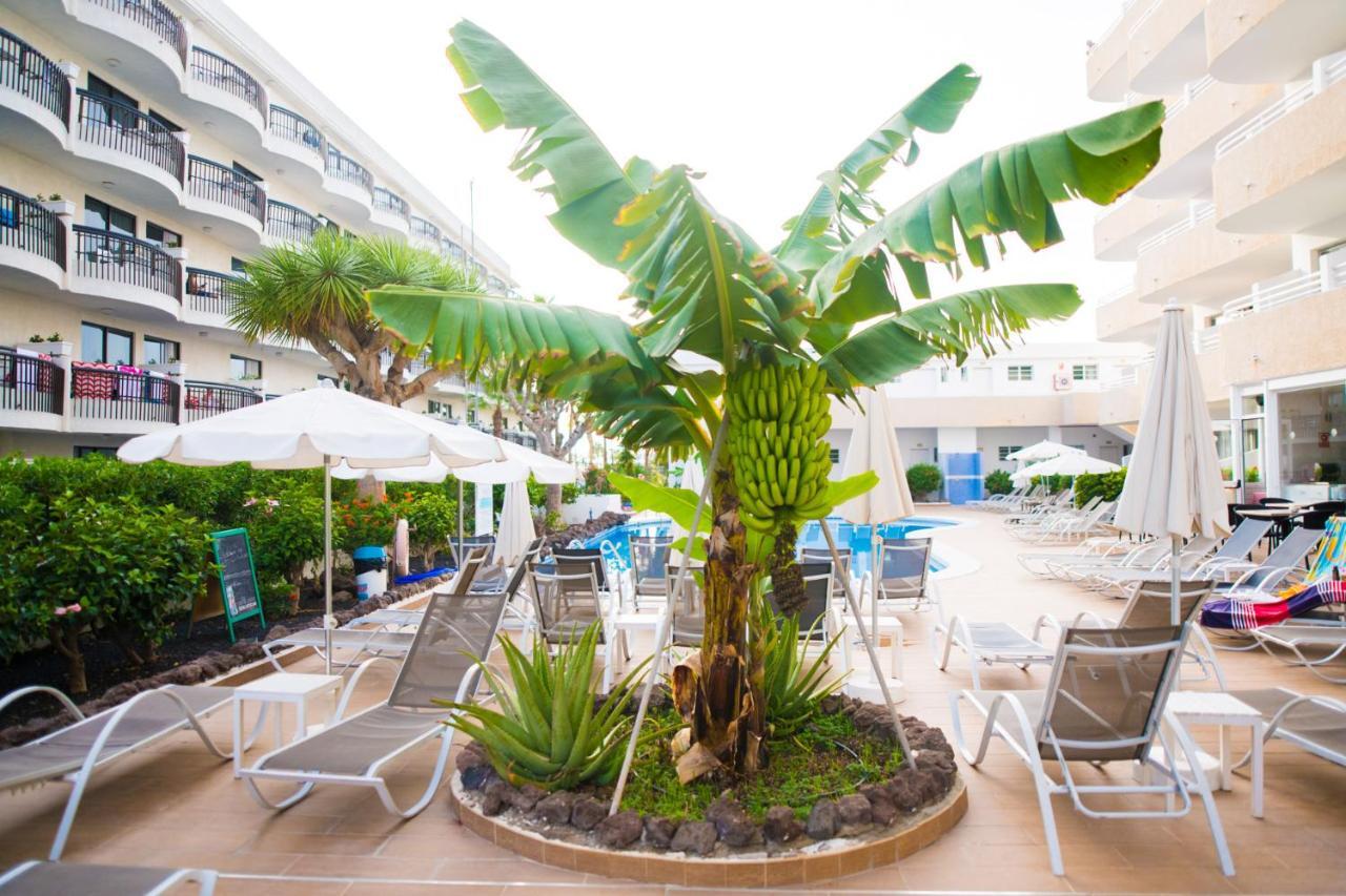 Adults Only Sunny Quiet Apartment In Center Of Las Americas Arona  Zewnętrze zdjęcie